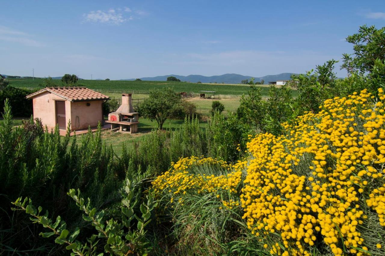 Agriturismo Il Melograno Di Banditella Alberese Exterior foto